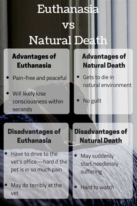 animal euthanasia vs human euthanasia